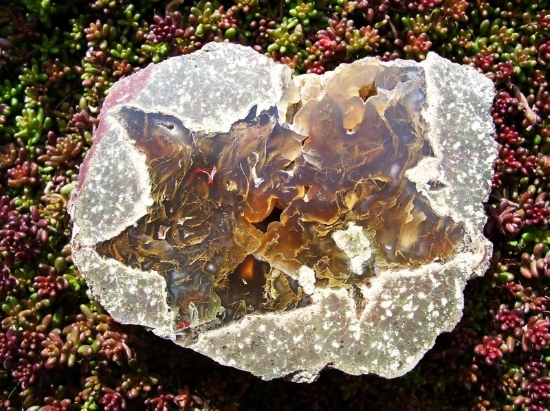Lucky Strike Thunderegg
